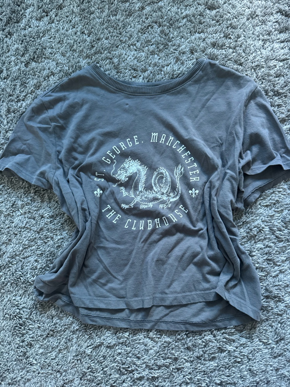 Women’s Gray Short-Sleeve Graphic Crewneck Shirt
